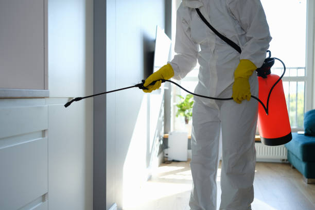 Best Industrial Mold Remediation in Cape Coral, FL